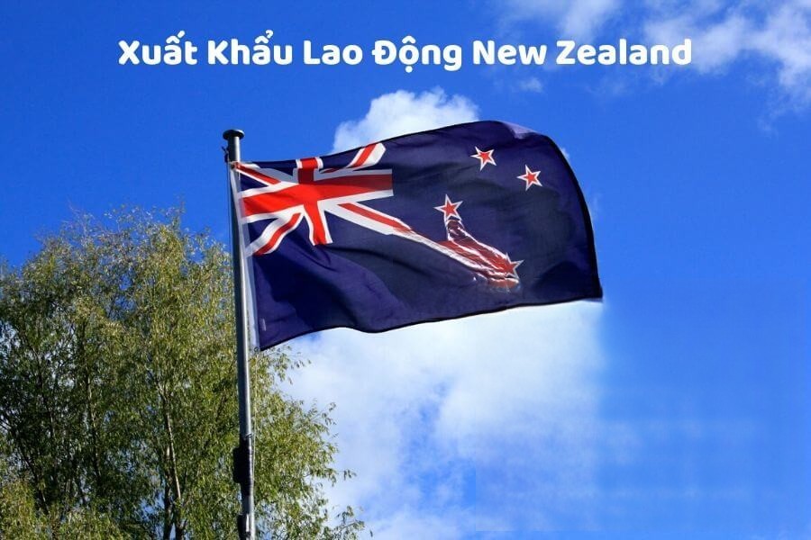 Xuất khẩu lao động New Zealand Vinh Nghệ An
